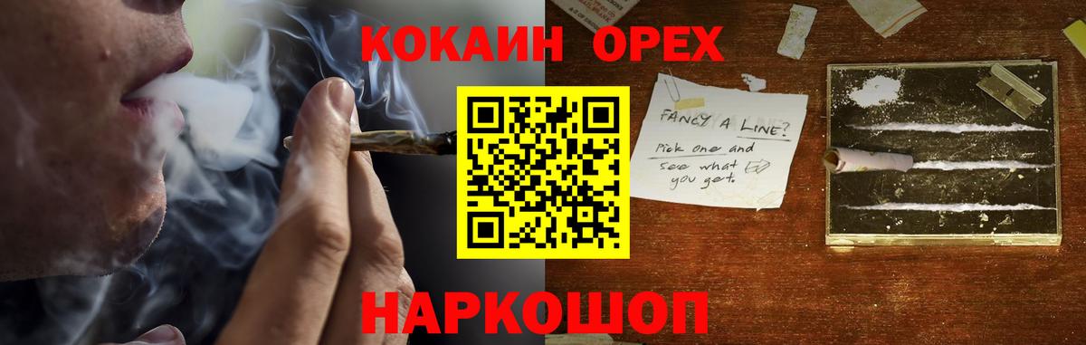 COCAIN  Cocaine Fish Scale  Вход с VPN  Гудермес 