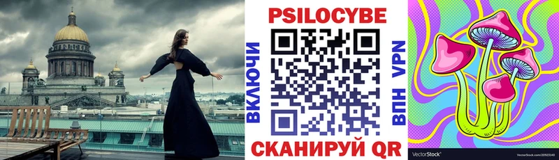Псилоцибиновые грибы Psilocybine cubensis  дарнет шоп  Гудермес 