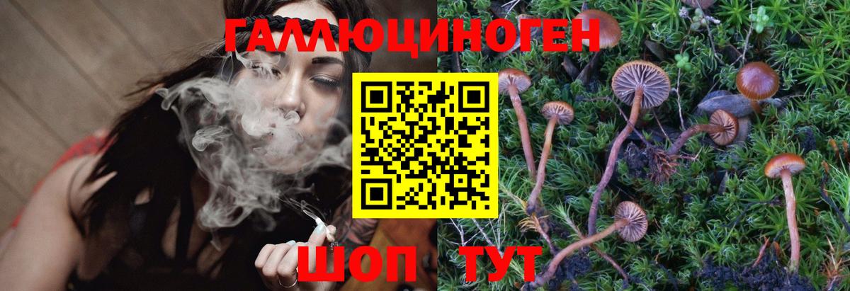 наркота  Вход с VPN  Галлюциногенные грибы Psilocybe  Гудермес  Псилоцибиновые грибы GOLDEN TEACHER 