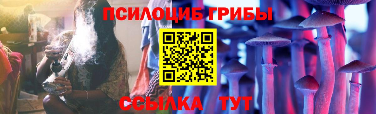 Галлюциногенные грибы Psilocybine cubensis Гудермес