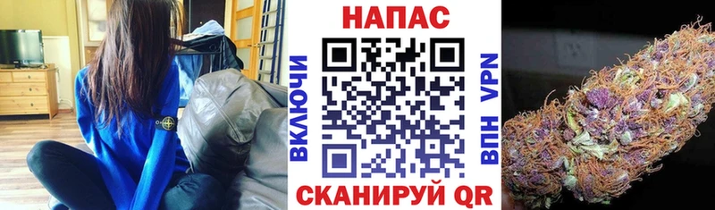 Каннабис Ganja  купить   Гудермес 