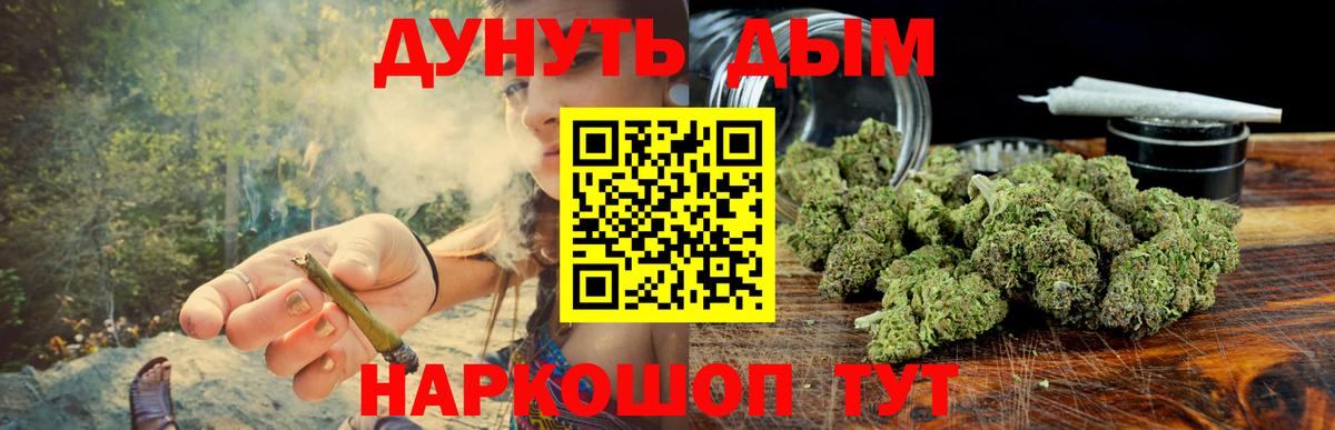 Бошки Шишки планчик Гудермес